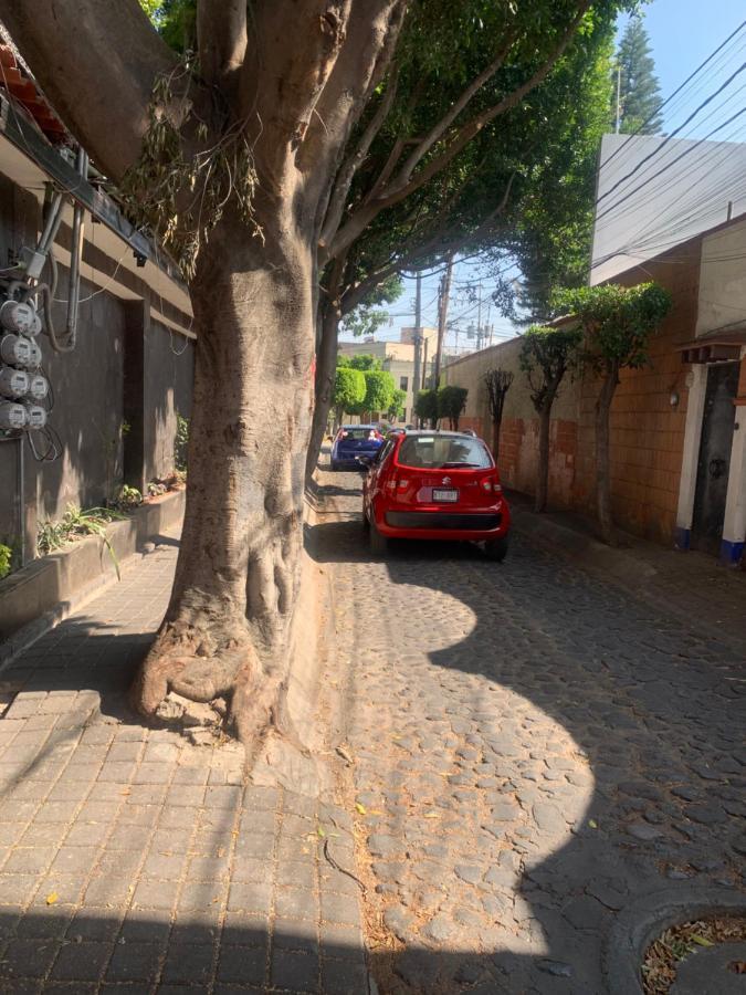 Coyoacan Magico مدينة مكسيكو المظهر الخارجي الصورة
