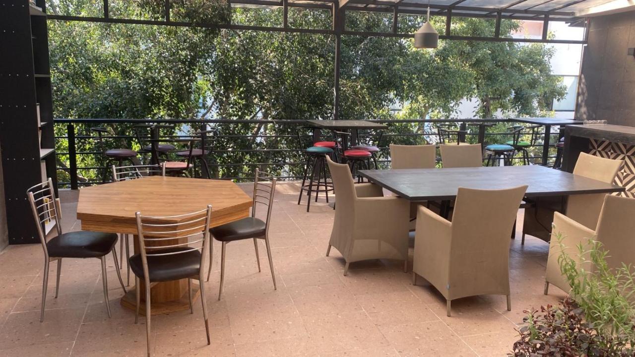 Coyoacan Magico مدينة مكسيكو المظهر الخارجي الصورة