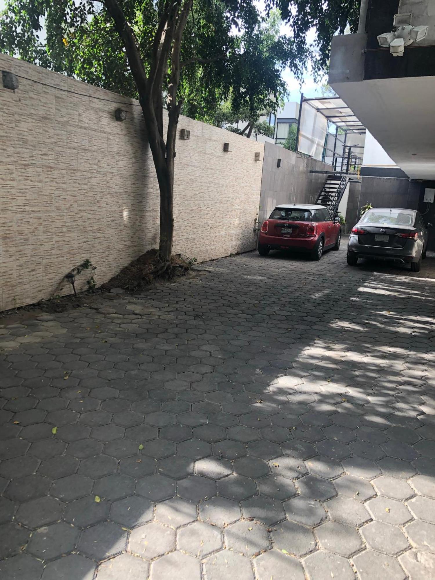 Coyoacan Magico مدينة مكسيكو المظهر الخارجي الصورة